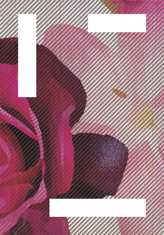 IMR_BLOK_BLOEMEN_BALKEN